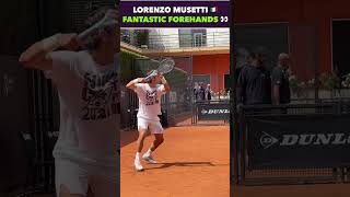 MUSETTI FANTASTIC FOREHAND PRACTICE tennis shorts [upl. by Aelem597]