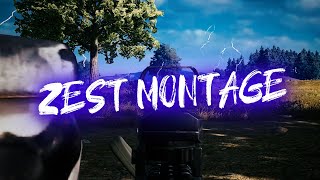 17살 ZEST 하이라이트｜PUBG Montage FPP [upl. by Odessa]