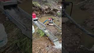 Finding gold in Colorado  Clear creek canyon dredging for gold gold outdoors scarsprospecting [upl. by Endres]