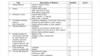 Functional Exam  Tinetti Performance Oriented Mobility Assessment [upl. by Friederike]