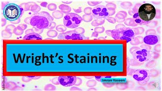 Wrights stain Methanol based Romanowsky stains needs no fixation  Hematology  by Imran Yaseen [upl. by Akelahs]