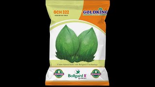 GCH322 GOLDKING COTTON SEEDS VIDEO 1 [upl. by Linder]