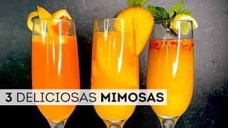 3 DELICIOSAS MIMOSAS  Como hacer las mejores mimosas [upl. by Dnomsed668]