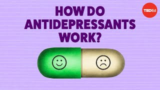 How do antidepressants work  Neil R Jeyasingam [upl. by Llerut]