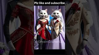 cute cat wedding couple shorts yt trendingshorts viralshorts [upl. by Nyvar]