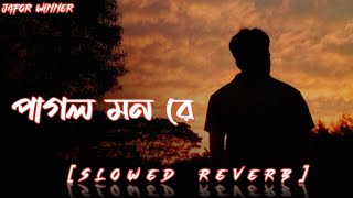 পাগল মন  Pagol Mon  Lofi Song Bengali SlowedReverb Night  Sad Song Bengali Slowed10k [upl. by Hanzelin678]