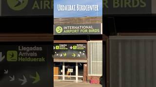 SAVE the Urdaibai Birdcenter 🇪🇸 UNESCO travel birdwatching spanien guggenheim [upl. by Beltran139]