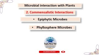 Commensalism  Microbial interaction with plants part2 bacteriology plant [upl. by Izawa324]