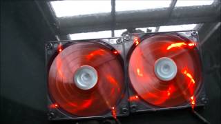 AeroCool Shark 14cm Fan Devil Red LED Edition Review by JoyboyP [upl. by Nolla337]