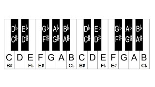 Piano Lesson 4 How To Label Piano Keys Part 4  Enharmonic Equivalents [upl. by Drahser919]