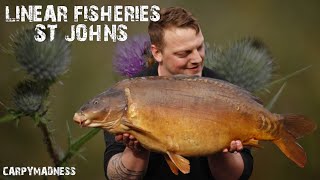 LINEAR FISHERIES  ST JOHNS [upl. by Thalassa]