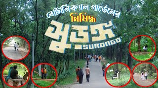 বোটানিক্যাল গার্ডেনে দিনে দুপুরে যা হচ্ছে । botanical garden mirpur dhaka bangladesh  Dream AK TV [upl. by Nowtna]