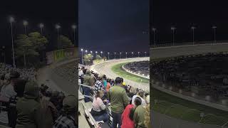 2024 Ambetter Health 400 finish from the stands [upl. by Huei]