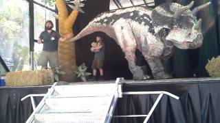 Erths Dinosaur Show Puppets at the Dallas Zoo [upl. by Esetal984]