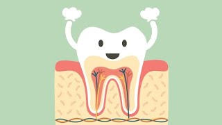 شرح دكتورة فضيلة endodontic part2 access opening [upl. by Aonian]