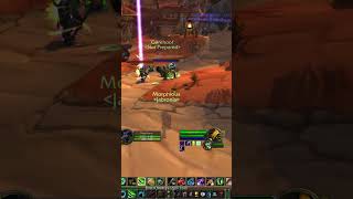 ⚡️LMAO BiS druid DELETED World of Warcraft⚡️worldofwarcraft wowclassic classicwow gaming pvp [upl. by Inus412]