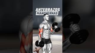 quot💪 Ejercicios Poderosos para Fortalecer Tus Antebrazos en Casa o Gimnasioquot gym deporte fitness [upl. by Ehcor123]