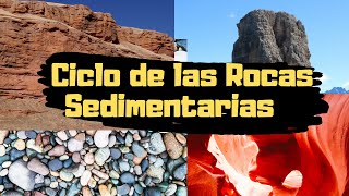 CICLO SEDIMENTARIO meteorización erosión transporte y sedimentación Rocas Sedimentarias GEOLOGIA [upl. by Morez505]