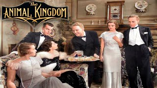 The Animal Kingdom 1932 Full Movie Starring Ann Harding Leslie Howard Myrna Loy William Gargan [upl. by Sylram]