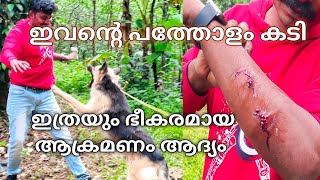 അപകടകാരിയായ യൂറോപ്പിയൻ ഷെഫെർഡ്european shepherd Leash Talks [upl. by Cofsky]