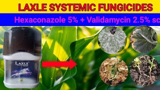 Laxle systemic fungicideshexaconazole 5  validamycin 25 sc  full information [upl. by Emalia]