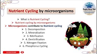 Nutrient Cycling by microorganisms ecology microbiology raqbamicrohub [upl. by Lav]