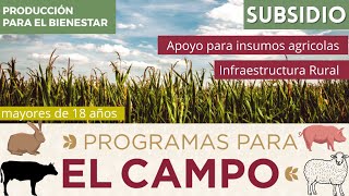 Producción para el Bienestar  Transformando el campo 💲REGISTRO 2024 Apoyo agrícola 🚜 apoyo pecuaria [upl. by Natasha]