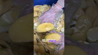 INTIPP‼️ PROSES BUAT KRIPIK MANGGA🥭‼️REMAJA SUKSES OMSET JUTAAN HARI HANYA DENGAN BISNIS ONLINE💸 [upl. by Gabrila967]