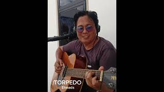 TORPEDO ERASERHEADS COVER [upl. by Burr288]