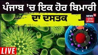 Horse Glanders virus  Punjab ਚ ਖ਼ਤਰਨਾਕ ਵਾਇਰਸ ਦੀ ENTRY   Punjab News  News18 Punjab Live [upl. by Dawaj]