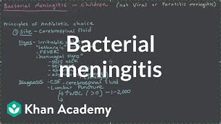 Bacterial meningitis  Miscellaneous  Heatlh amp Medicine  Khan Academy [upl. by Ingaborg69]