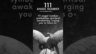 111 Angel Number Meaning Manifestation Guidance amp Abundance [upl. by Snehpets991]