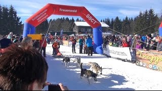 20 Schlittenhunderennen in Frauenwald [upl. by Tiana845]