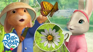 ​OfficialPeterRabbit Spring Has Sprung 🌸🎵🌸  First Butterfly of the Year 🦋  Cartoons for Kids [upl. by Delorenzo]