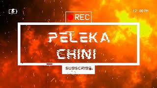 PELEKA CHINI LYRICS  BREEDER X MAANDY [upl. by Nitaj714]