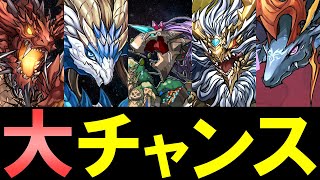 【作っていない方必見】前夜祭イベント後半の内容が激アツレーダー龍を集めるまたとないチャンスがやってきます【パズドラ】 [upl. by Chiang304]