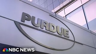 SCOTUS to hear bankruptcy cases involving Purdue Pharma [upl. by Korten]