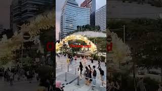 Orchard road at night 😍 [upl. by Matthei]