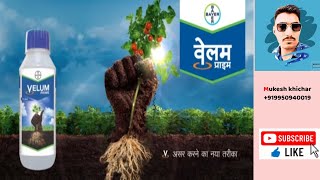 वेलम प्राइम बायरvelum prime bayernematodes controlfluopyram 3348sc uses in crop bayer [upl. by Yeta]