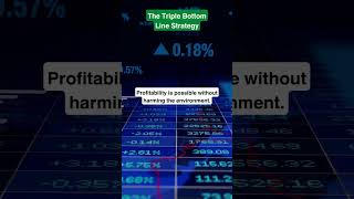 The Triple Bottom Line Strategy [upl. by Quillon]