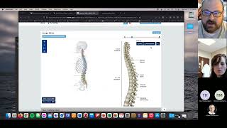 Thieme MedOne Atlases of Anatomy amp Visible Body [upl. by Gotcher764]