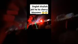 Leh kam khyllah jait ha ka sngi cherry blossoms😱😱😱 [upl. by Kev]