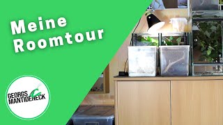 Meine Roomtour im Mantideneck 2019 [upl. by Bove]