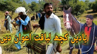 Psawal village Haripur amp Hazara culture amp grass cutting season Dhol Dance [upl. by Adiari]