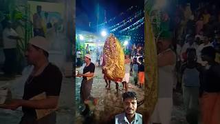 Muharram sawari Walandi huseni basha jalsa 2024 full desi style main [upl. by Miguelita]