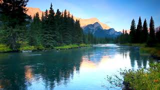 Calm Mountain River flowing in Elk Valley 4k Relaxing River Sounds Nature White Noise 10 Hours [upl. by Hallock656]