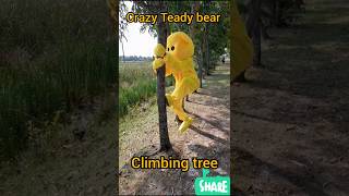 comedy crazy crazyteddy comedyprank comedyvideo comedyprank Teady bear climbing tree [upl. by Christiane]