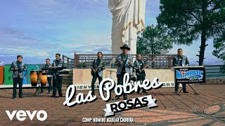 Grupo Miramar  Las Pobres Rosas [upl. by Filberto]