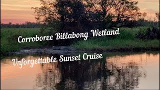 Corroboree Billabong Wetland Unforgettable Sunset Cruise [upl. by Edge]