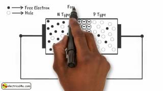 How does a Diode Work A Simple Explanation  How Diodes Work  Electrical4U [upl. by Teyugn]